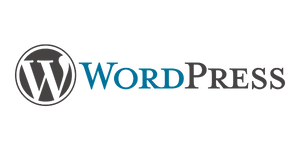 WordPress CMS Experts